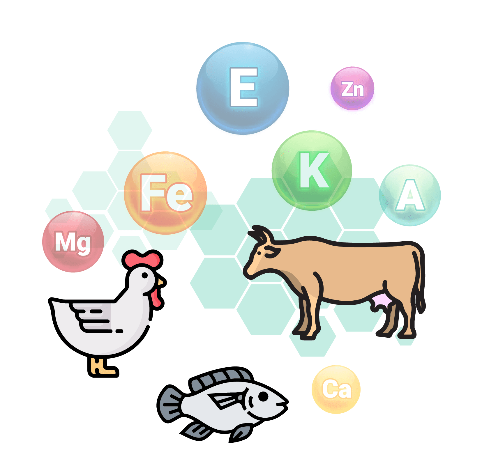 Animal & Fish Nutrition