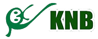 KNB Feed